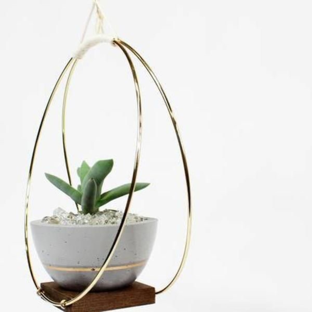 Plant holding ring - 12 inch